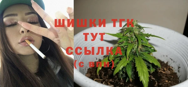 дмт Нея
