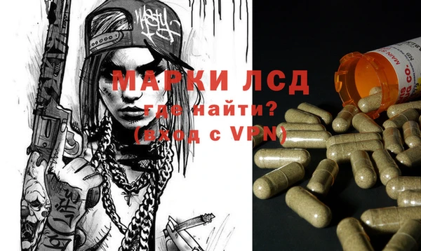 дмт Нея