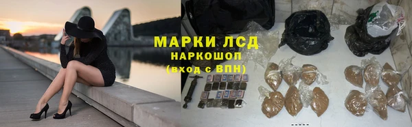 дмт Нея