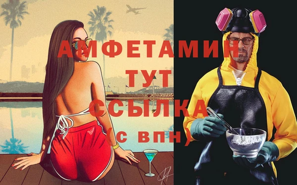 дживик Щигры